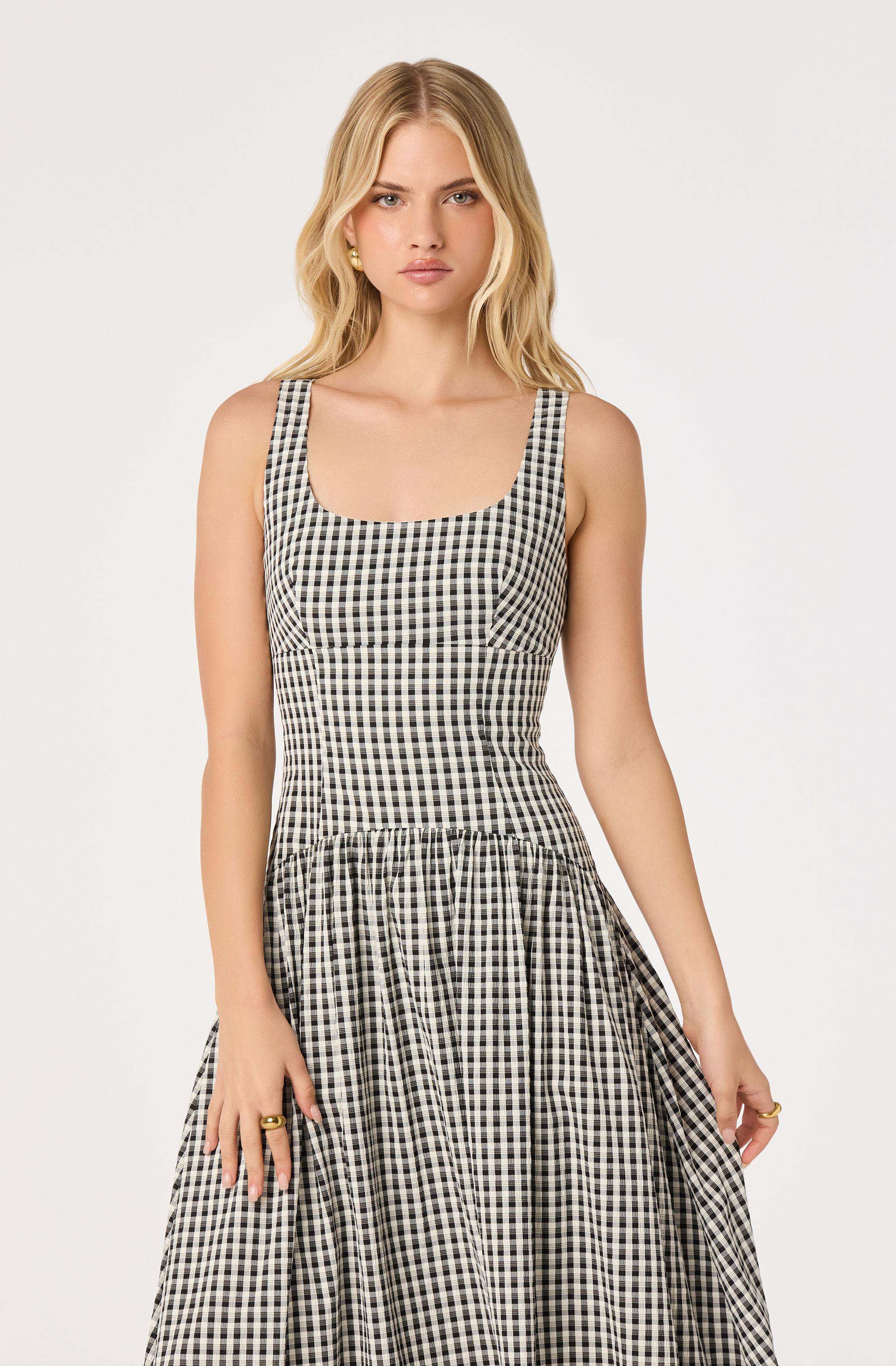 Cara Gingham Sleeveless Midi Dress - Image 6