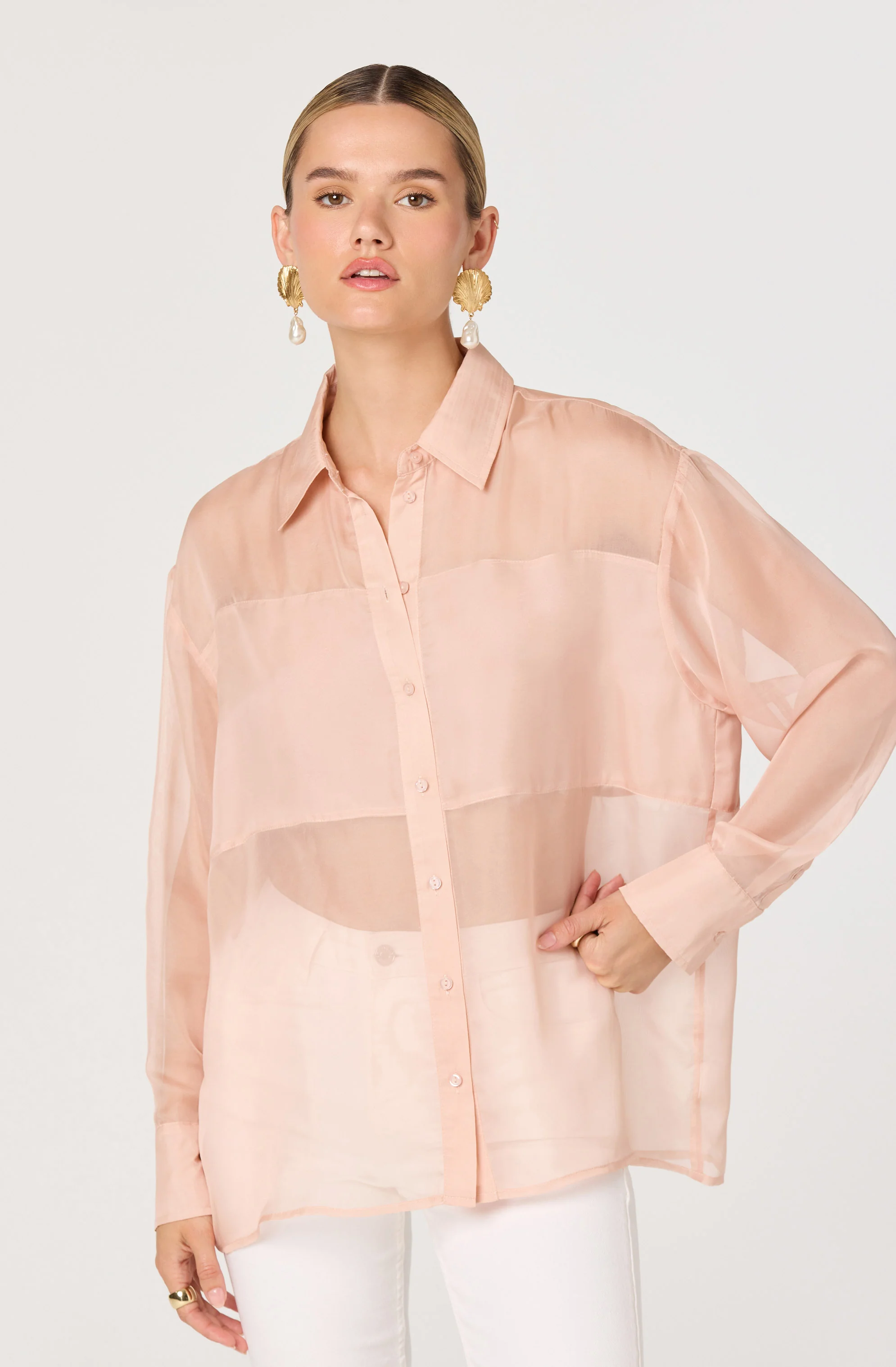 Evie Sheer Collared Button-Front Top - Image 4