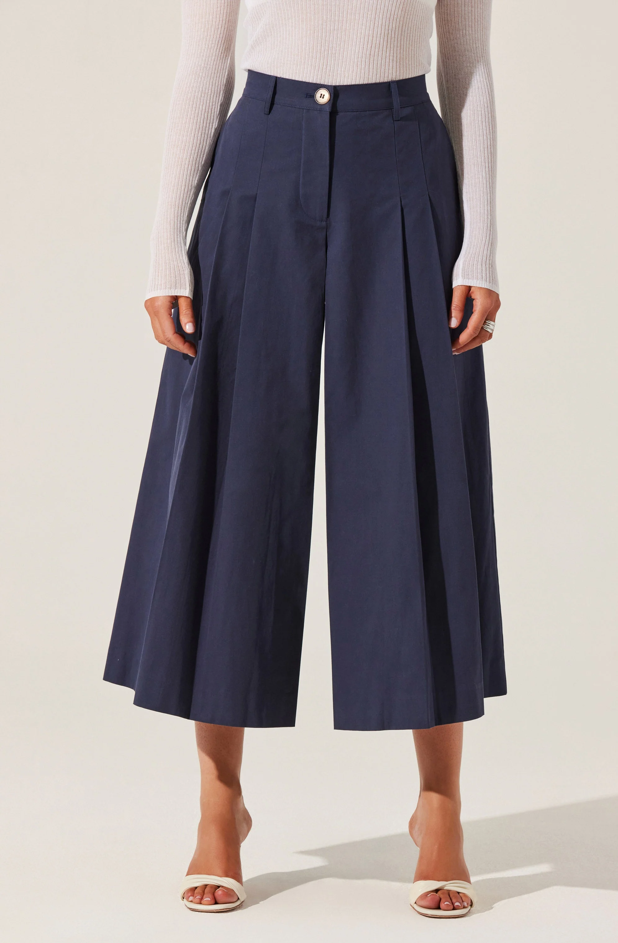 Rowen Pleated Culotte Pants - Image 13