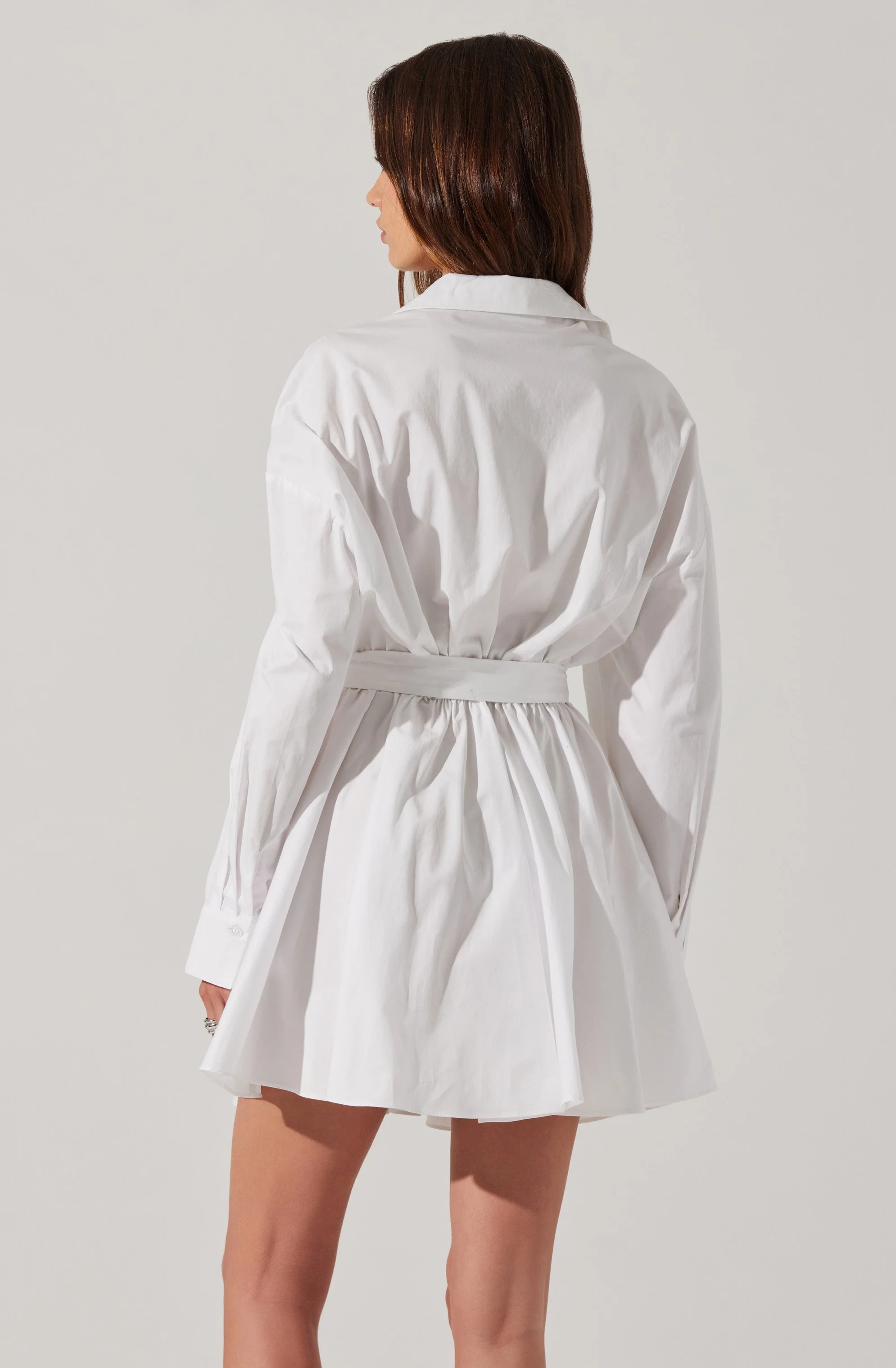 Winica Poplin Mini Dress - Image 4